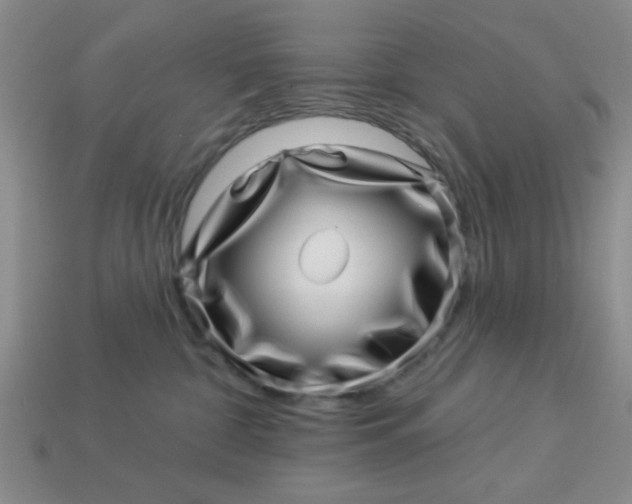 X0000113000332200909101802