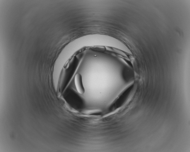 X0000113000333200909101802