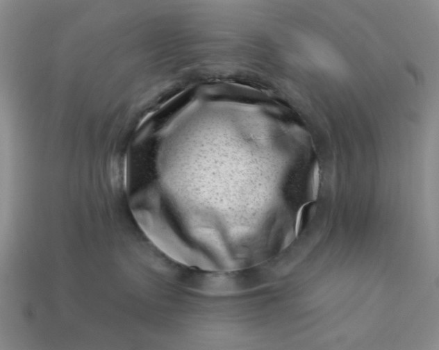 X0000113000335200909101802