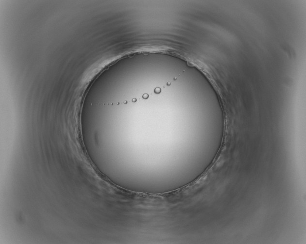 X0000113000337200909101801