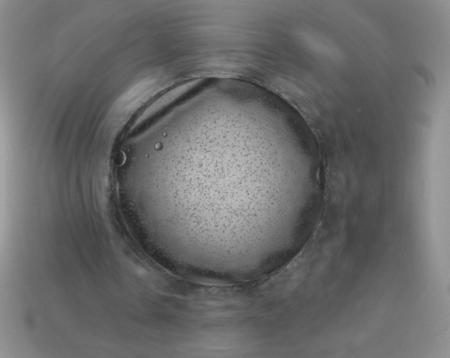 X0000113000338200909101801