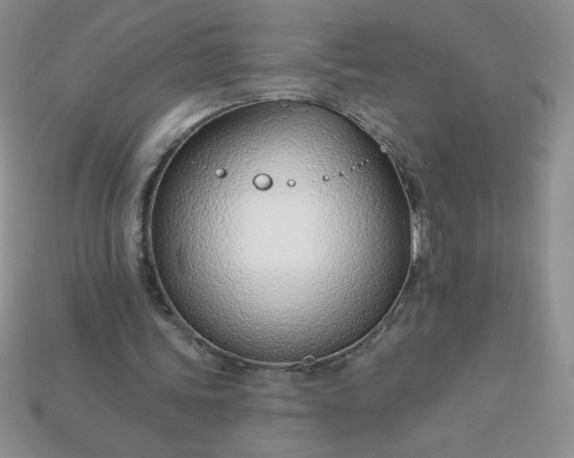 X0000113000339200909101801