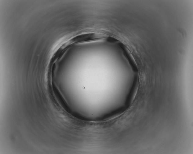 X0000113000340200909101801