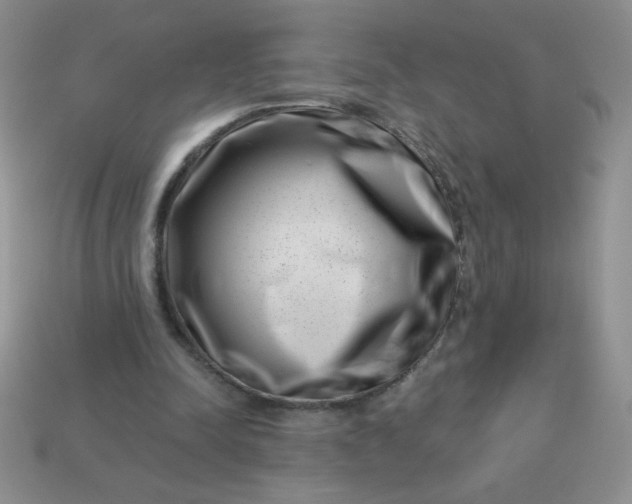 X0000113000342200909101801