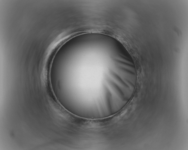 X0000113000343200909101801