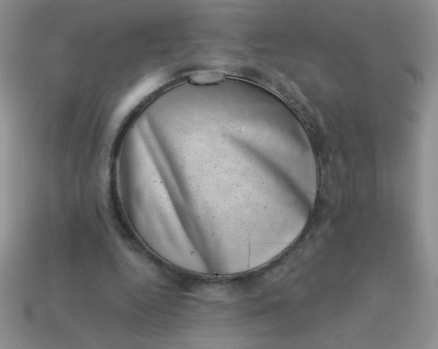 X0000113000344200909101801