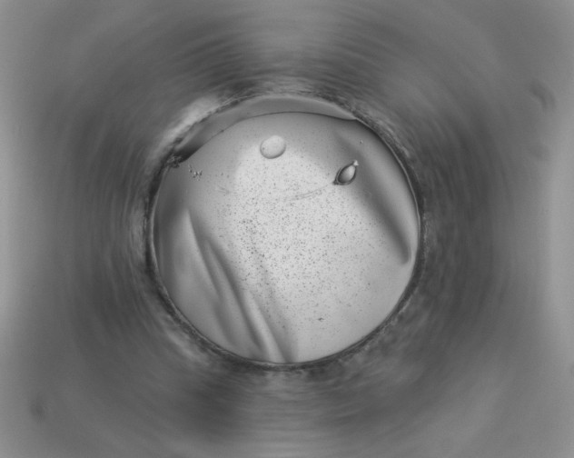 X0000113000345200909101801