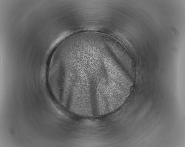 X0000113000346200909101801