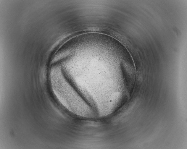 X0000113000347200909101801