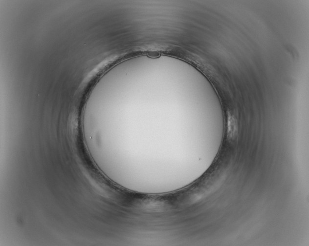 X0000113000348200909101801