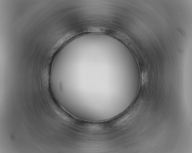 X0000113000349200909101801