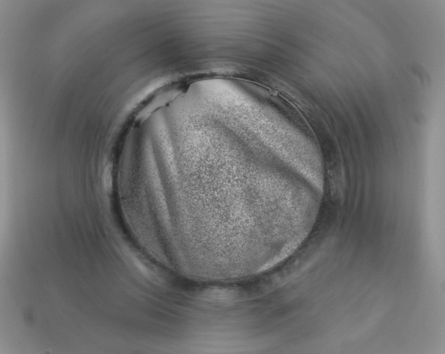 X0000113000350200909101801