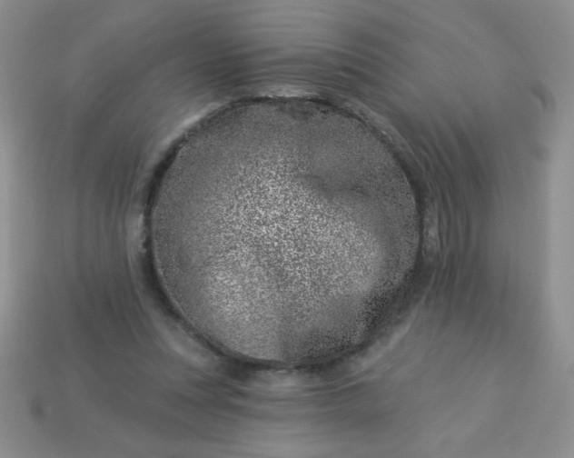 X0000113000351200909101801