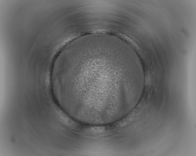 X0000113000353200909101801