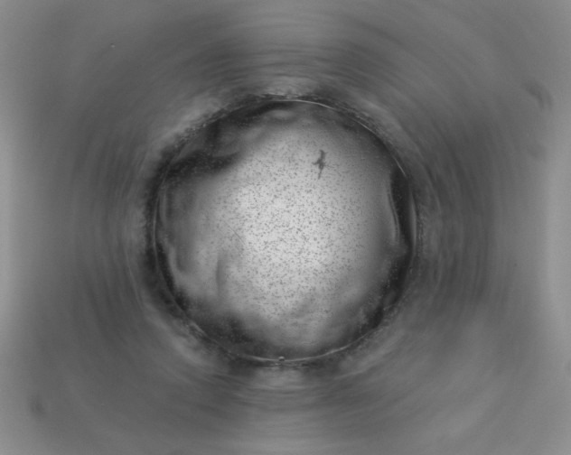 X0000113000354200909101801