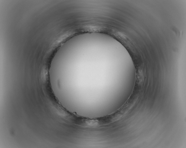 X0000113000355200909101801