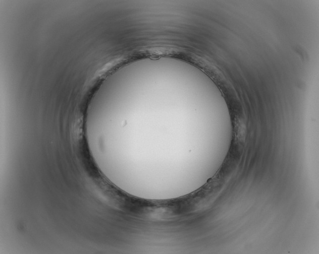 X0000113000356200909101801