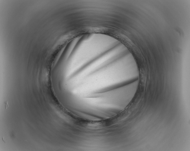 X0000113000357200909101801