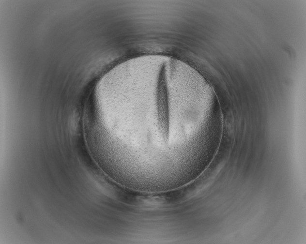 X0000113000359200909101801