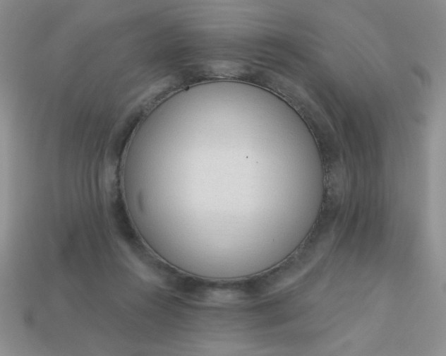 X0000113000360200909101801