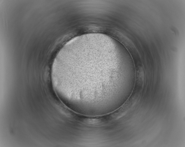 X0000113000361200909101801