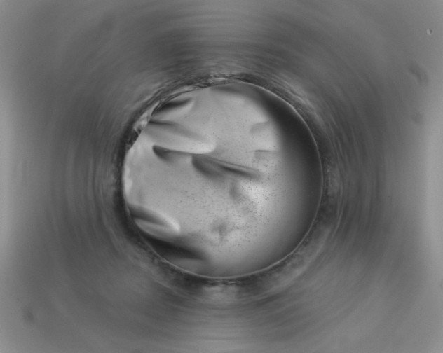 X0000113000362200909101801