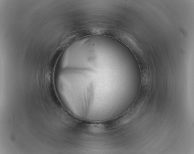 X0000113000363200909101801