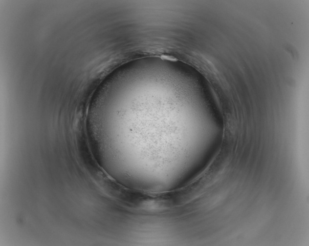 X0000113000364200909101801