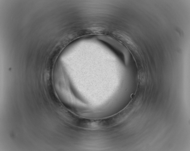 X0000113000365200909101801