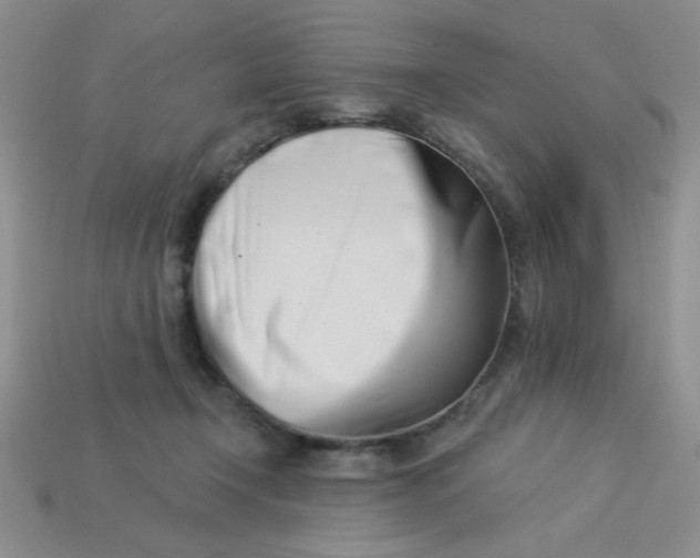 X0000113000366200909101801