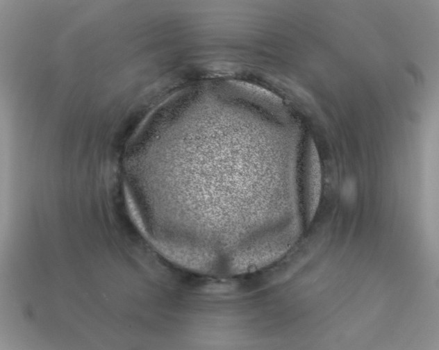 X0000113000369200909101801