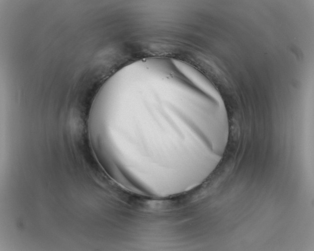 X0000113000371200909101801