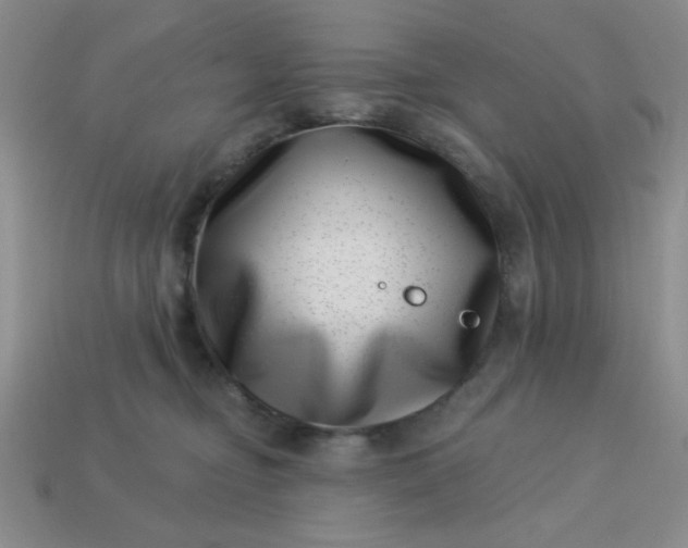 X0000113000374200909101801