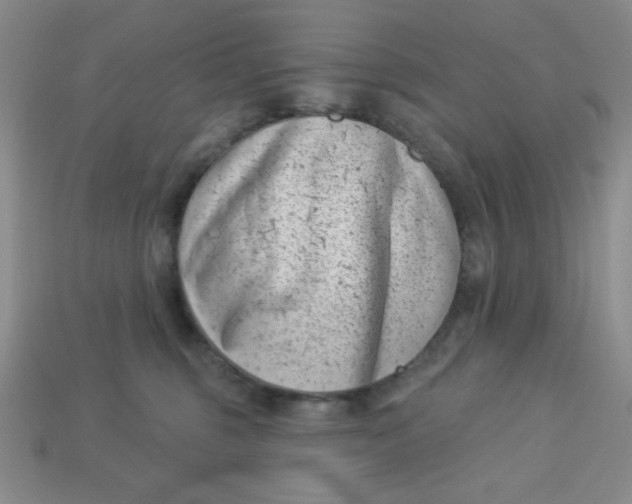 X0000113000375200909101801