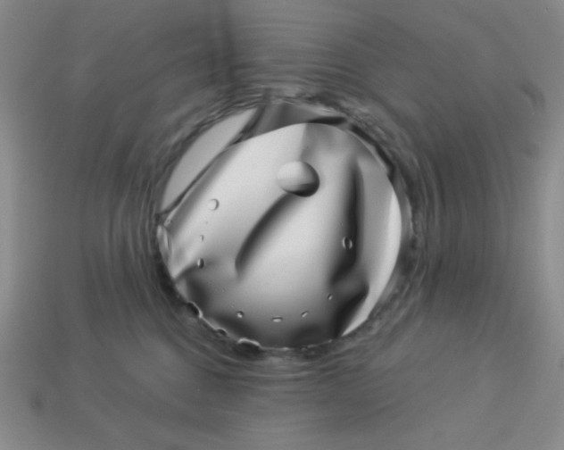 X0000113000376200909101801