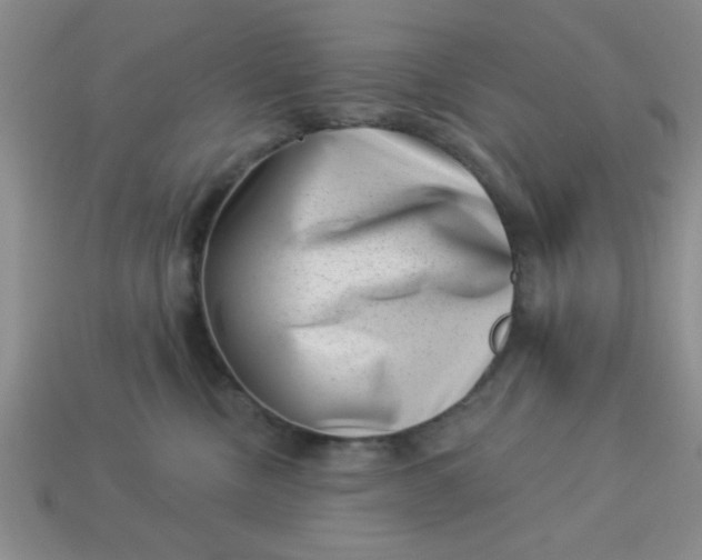 X0000113000378200909101801