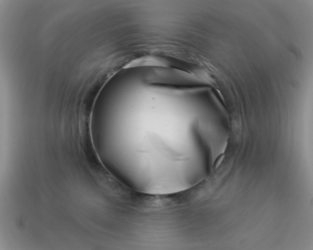 X0000113000379200909101802