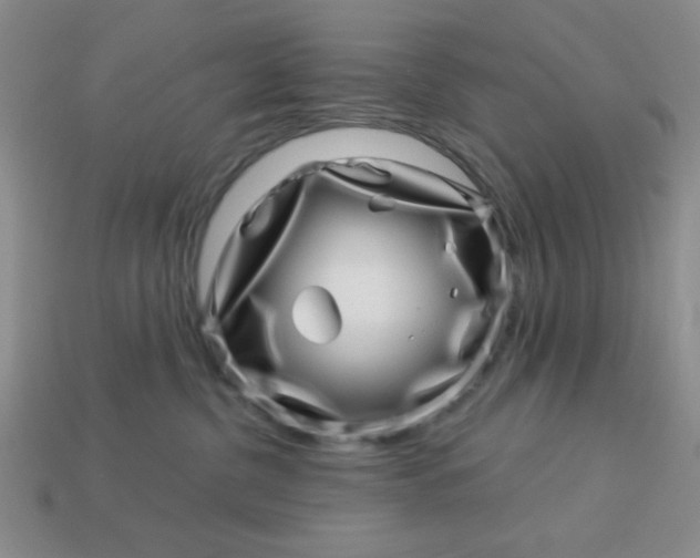 X0000113000380200909101802