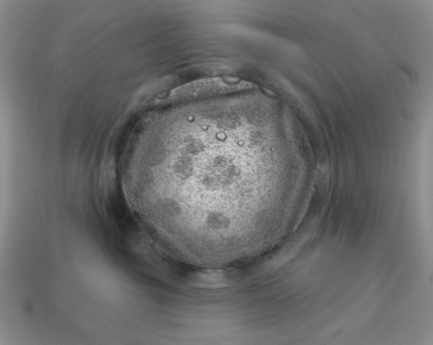 X0000113000381200909101802