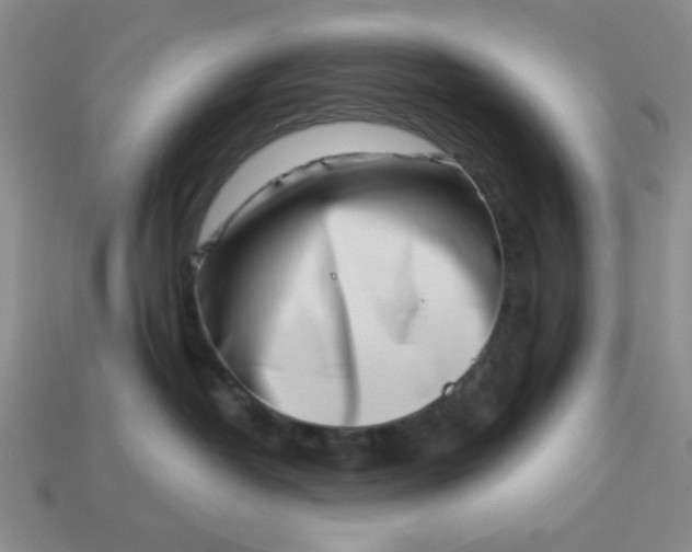 X0000113000382200909101802