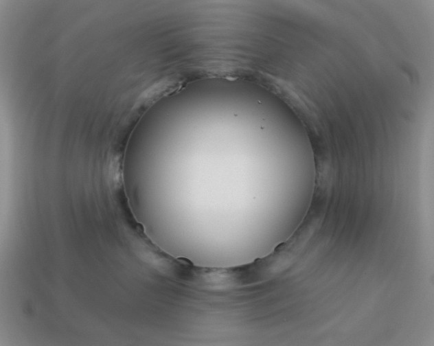 X0000113000383200909101802