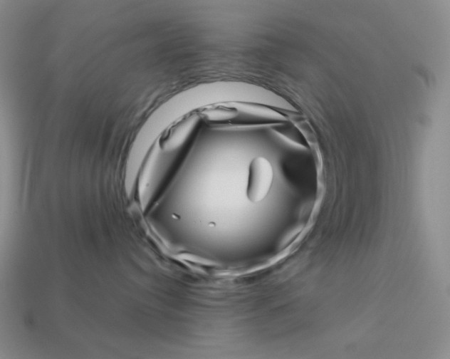 X0000113000384200909101802