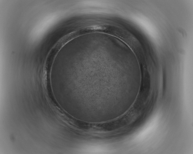 X0000113000387200909101801