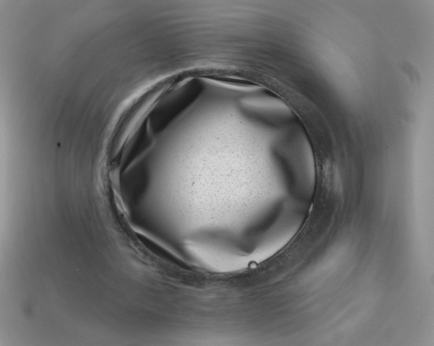 X0000113000388200909101801