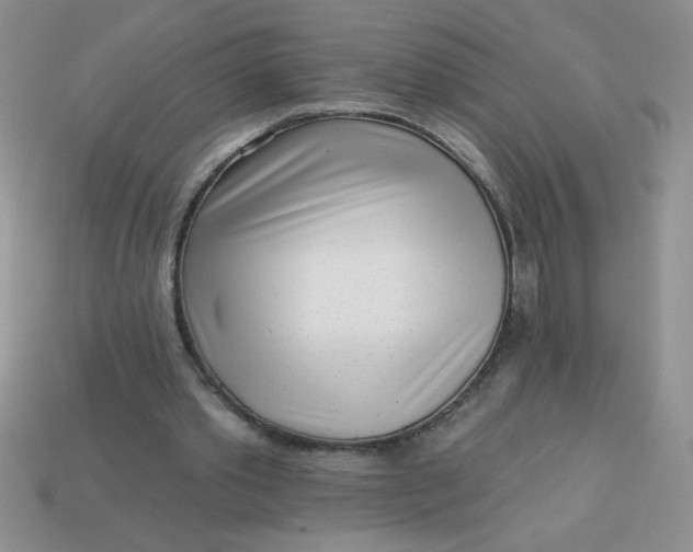 X0000113000389200909101801