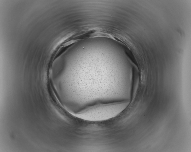 X0000113000390200909101801