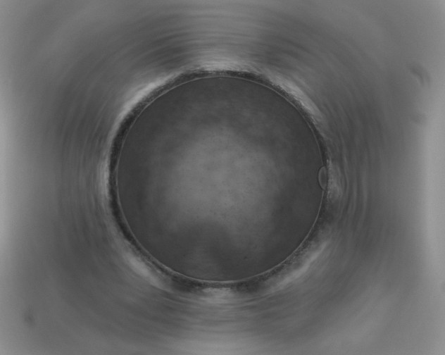 X0000113000391200909101801