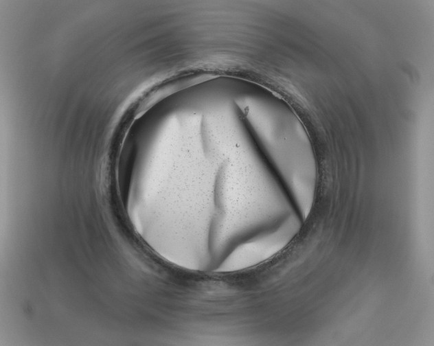 X0000113000392200909101801