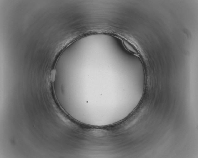 X0000113000393200909101801