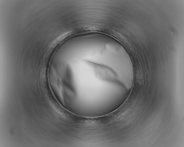 X0000113000394200909101801